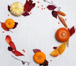 La scuola di Paideia propone…l’autunno in cucina!